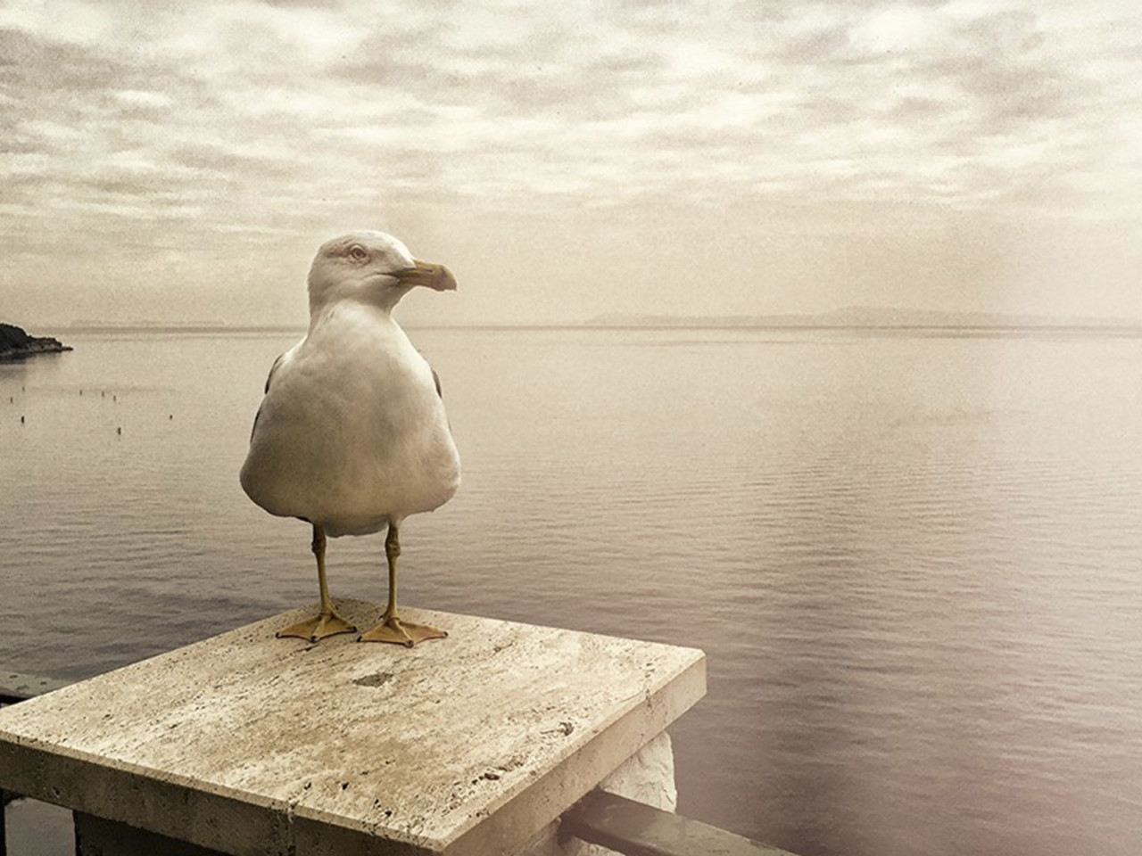 B&B Al Mare Sorrento