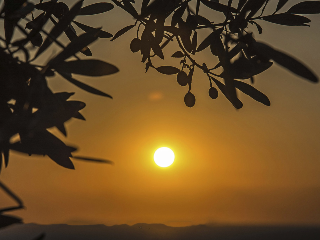 B&B Al Mare Sorrento