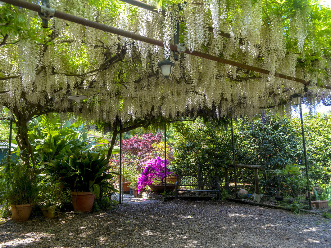 B&B Al Mare Sorrento